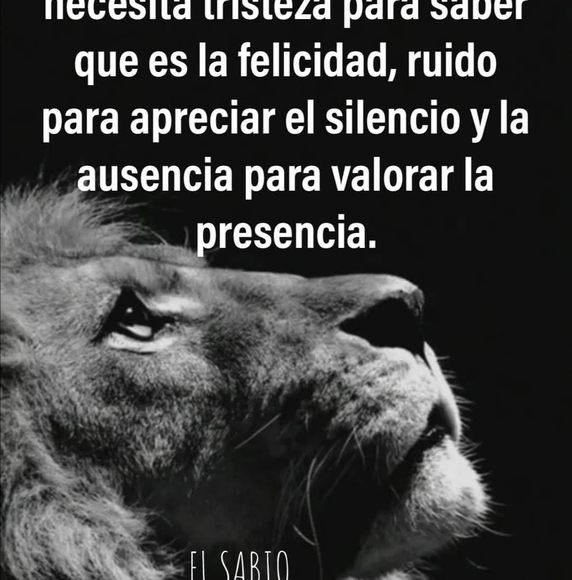 miamor4281